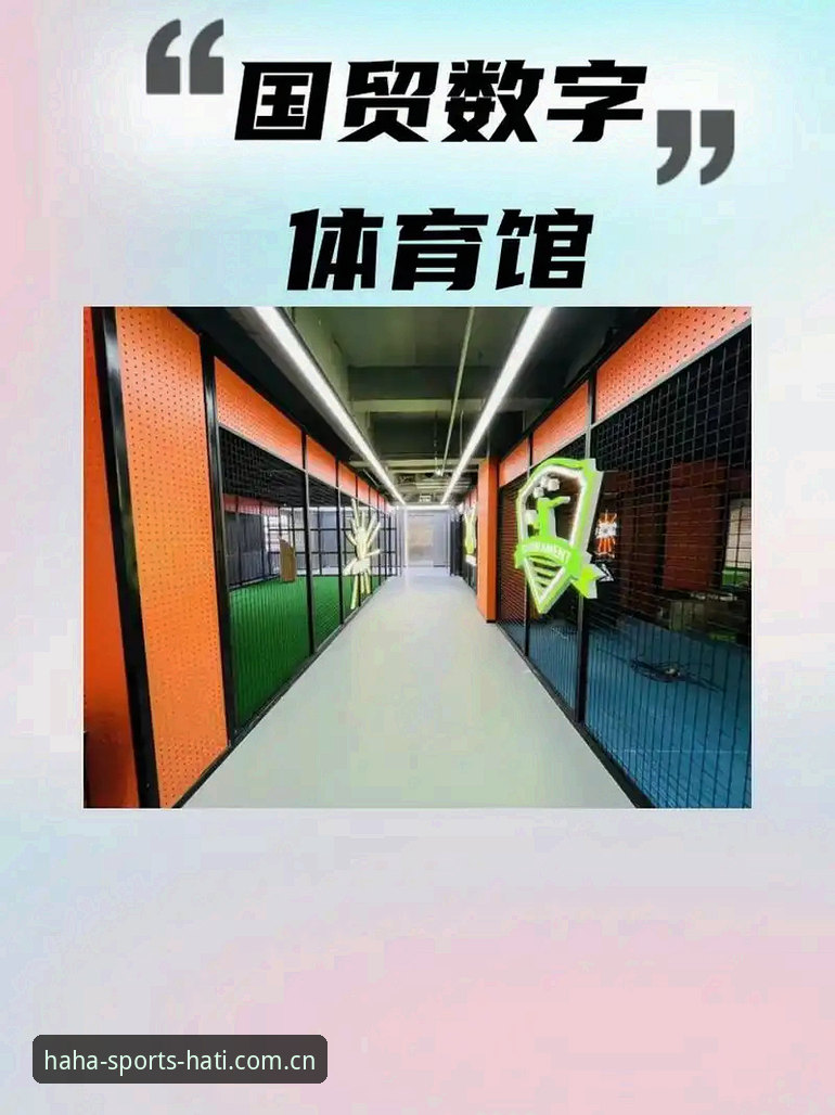 哈体体育下载 vs 官网直接使用：哪个更适合体育爱好者？