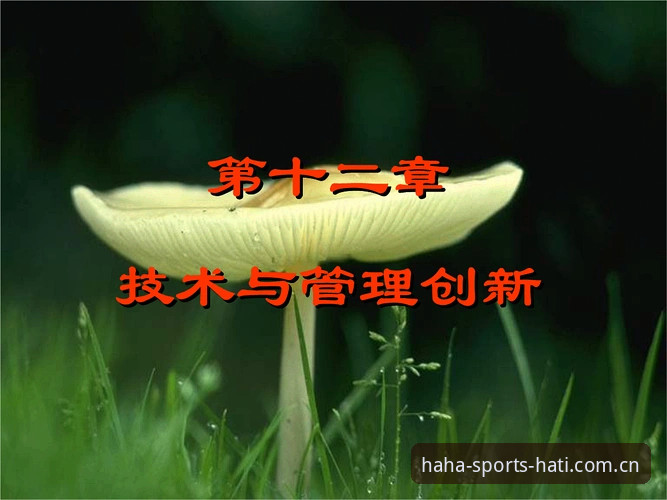 从贝纳蒂亚马赛经历看体育管理者的创新决策实用指南